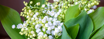 Fleuristes professionnels