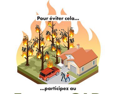 Image de l'évènement Forum OLD